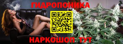 mdpv Лесосибирск