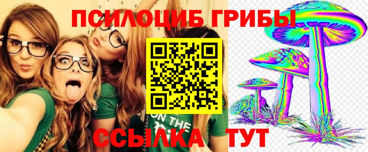 продажа наркотиков  Галлюциногенные грибы MAGIC MUSHROOMS  Вход с VPN  Йошкар-Ола  Псилоцибиновые грибы мицелий 